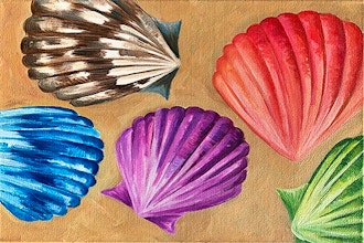 Vibrant Seashells